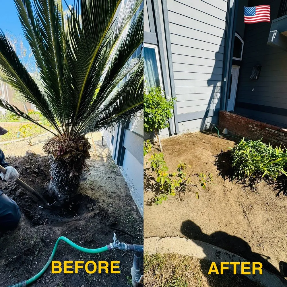 Trusted outdoor landscaping experts serving Camarillo, CA - 4 Liberty Services