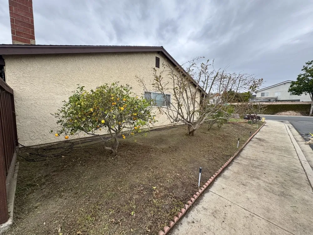 Affordable lawn mowing service in Camarillo, CA by 4 Liberty Services