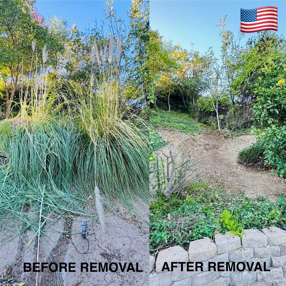 Professional landscaping services experts serving Camarillo, CA - 4 Liberty Services