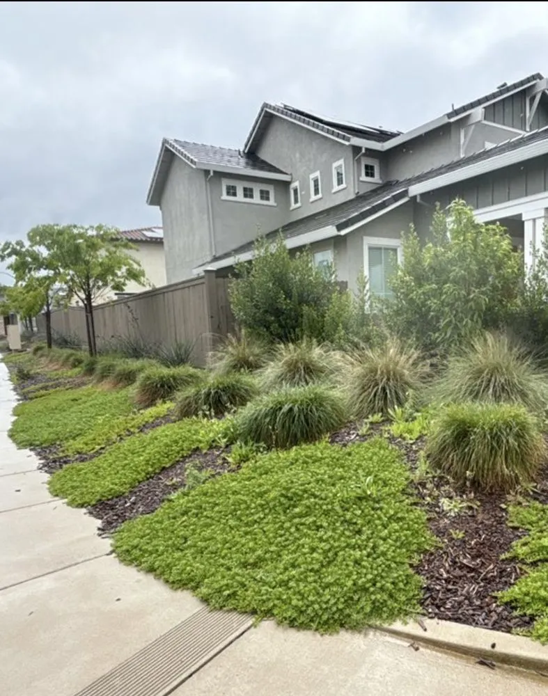 Trusted yard maintenance in Stockton, CA by 4 Men Labor Crew