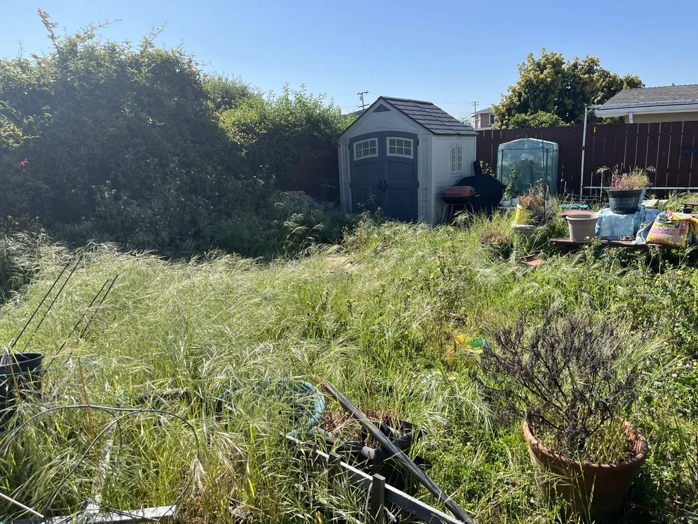 Local lawn care service in Stockton, CA - 4 Men Labor Crew