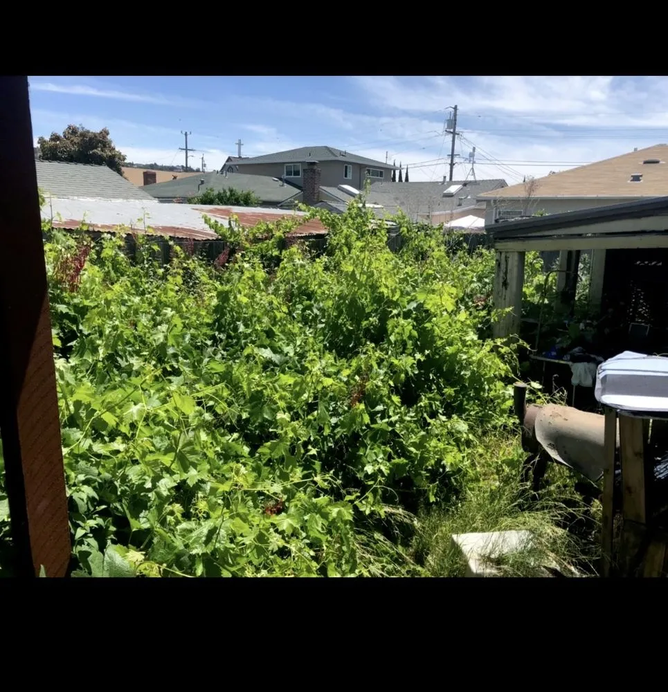 Expert lawn care service in Stockton, CA - 4 Men Labor Crew