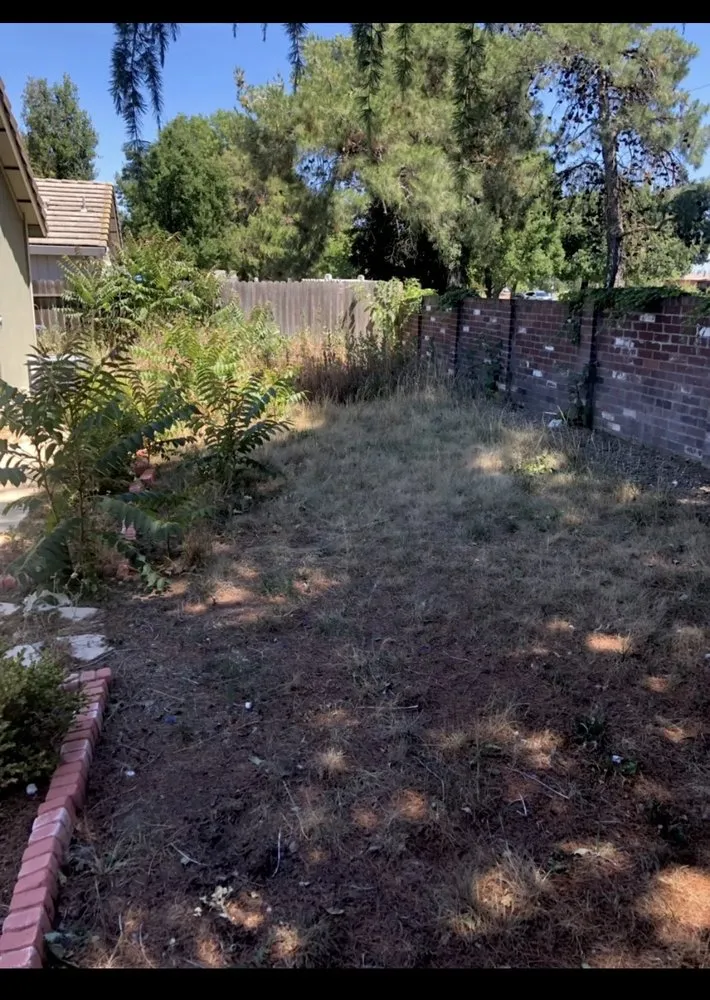 Trusted landscape design experts serving Stockton, CA - 4 Men Labor Crew