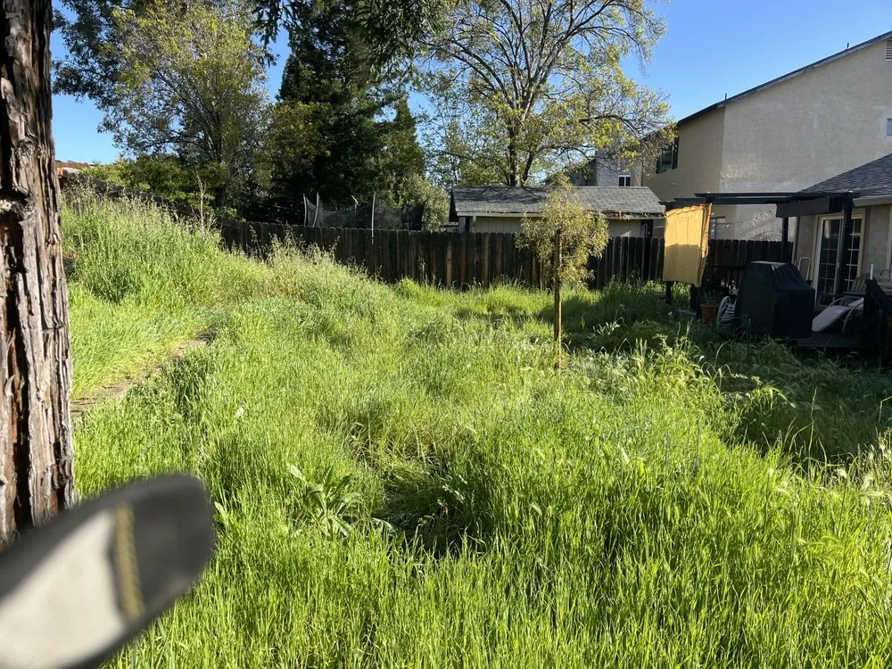 Affordable garden landscaping in Stockton, CA by 4 Men Labor Crew