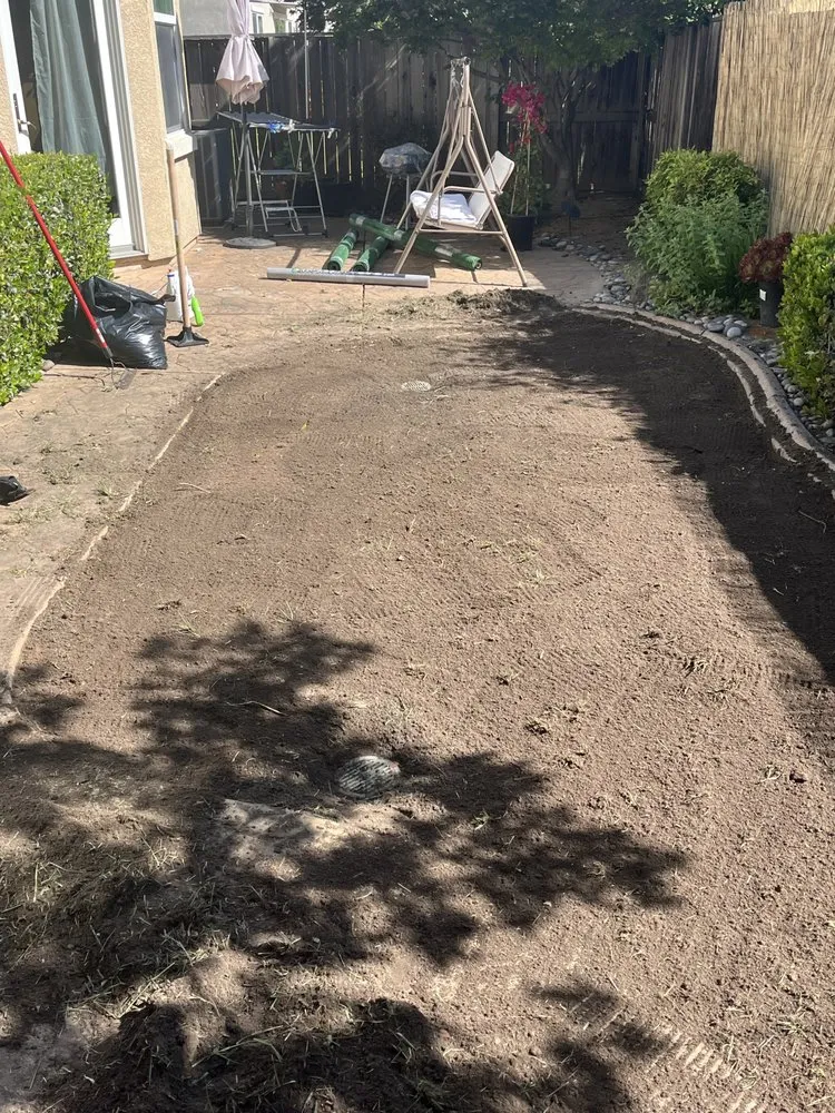 Reliable lawn care service in Stockton, CA by 4 Men Labor Crew