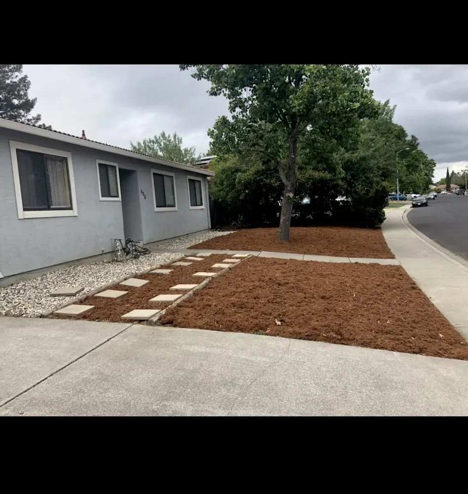 Expert yard cleanup service experts serving Stockton, CA - 4 Men Labor Crew