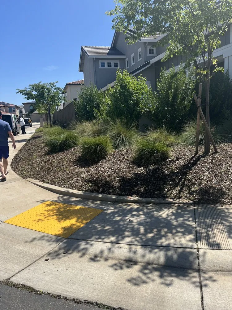 Reliable yard maintenance near you in Stockton, CA by 4 Men Labor Crew