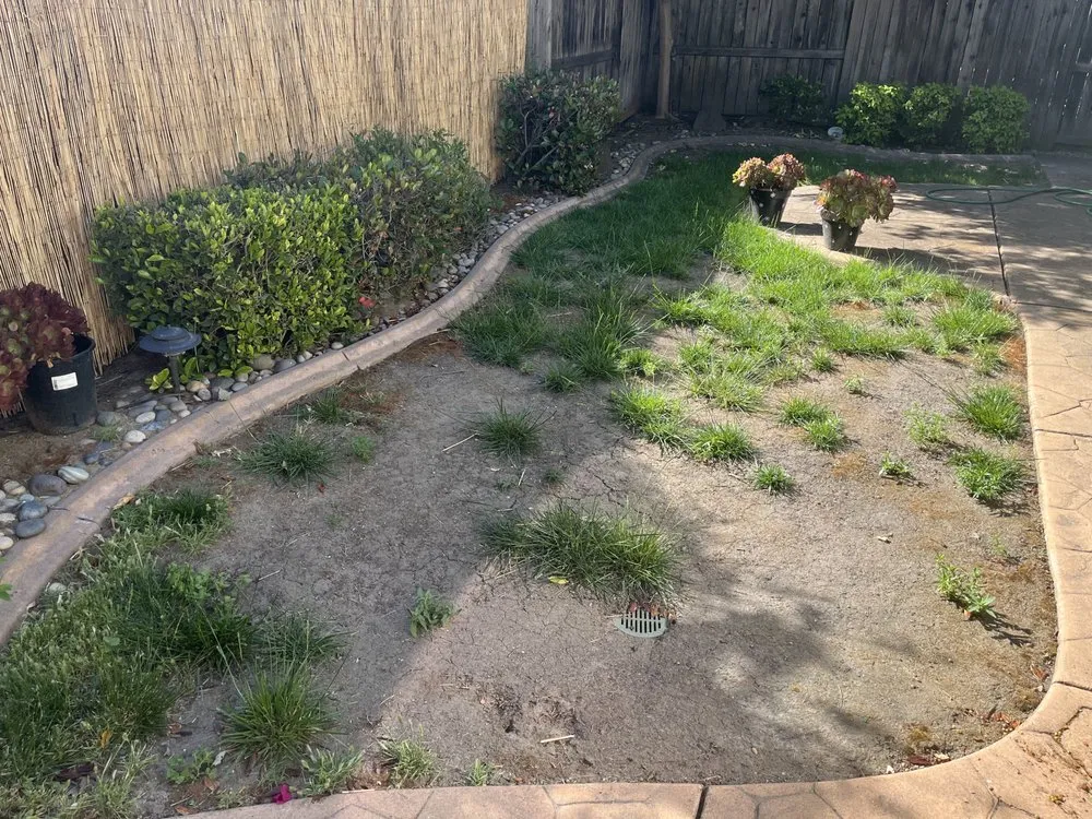 Trusted yard maintenance experts serving Stockton, CA - 4 Men Labor Crew