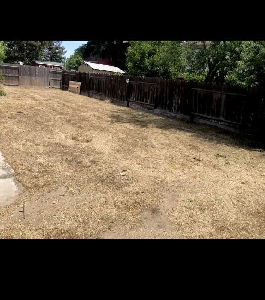 Top-rated landscaping services for year-round maintenance in Stockton, CA by 4 Men Labor Crew