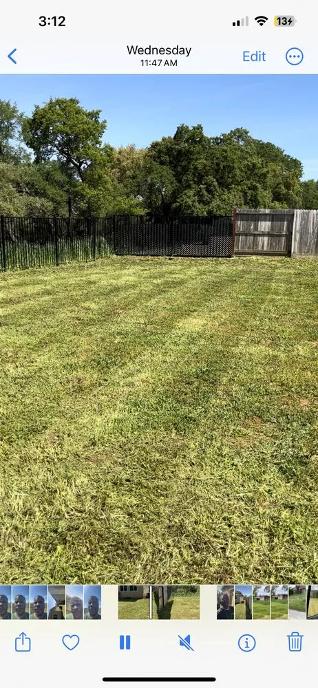 Reliable yard cleanup service for homes across Stockton, CA - 4 Men Labor Crew