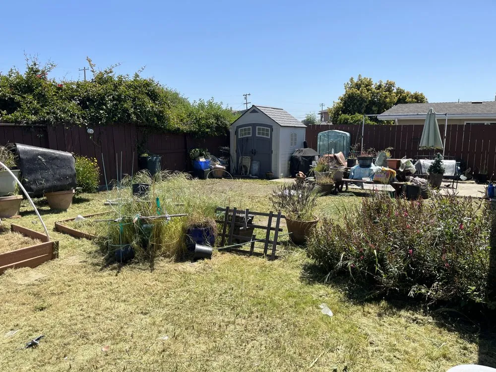 Trusted yard maintenance experts serving Stockton, CA - 4 Men Labor Crew