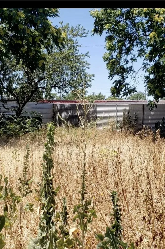 Reliable landscape design in Stockton, CA - 4 Men Labor Crew