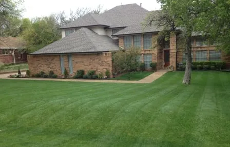 Local yard cleanup service in Forney, TX - 4 My Lawn and Landscaping