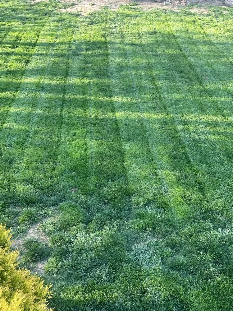 Trusted landscaping services with custom design in Staunton, VA by 4 Paws Lawn and Landscaping