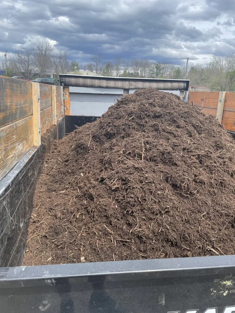 Trusted outdoor landscaping for outdoor upgrades across Staunton, VA - 4 Paws Lawn and Landscaping