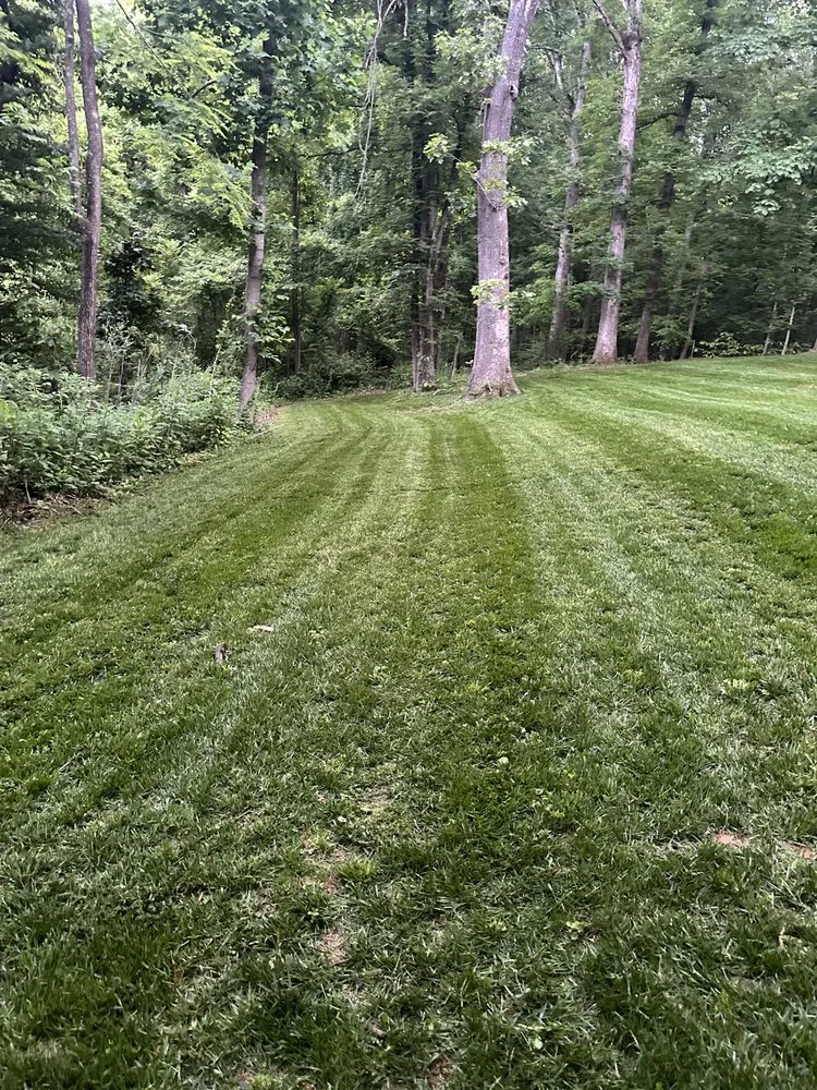 Reliable lawn care service experts serving Staunton, VA - 4 Paws Lawn and Landscaping