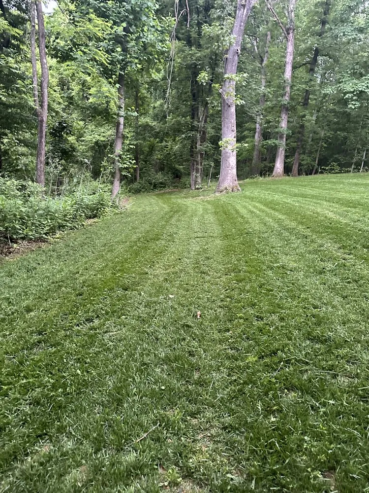 Local residential landscaping in Staunton, VA - 4 Paws Lawn and Landscaping