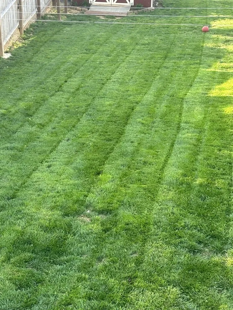 Custom garden landscaping in Staunton, VA - 4 Paws Lawn and Landscaping