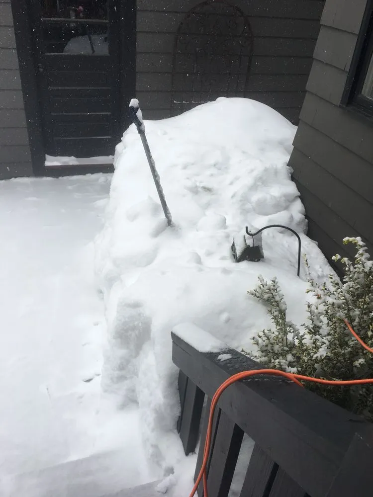 Expert outdoor landscaping for outdoor upgrades in Acton, MA by 4 Paws Outdoor Service