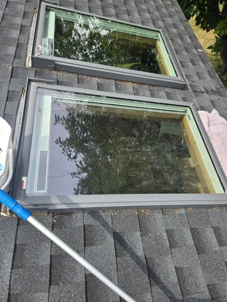 Local landscape design in Acton, MA by 4 Paws Outdoor Service