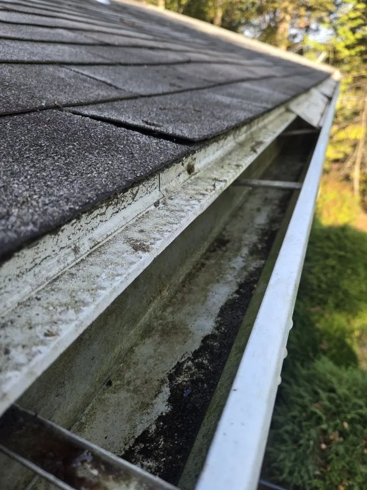 Affordable lawn mowing service for outdoor upgrades in Acton, MA by 4 Paws Outdoor Service