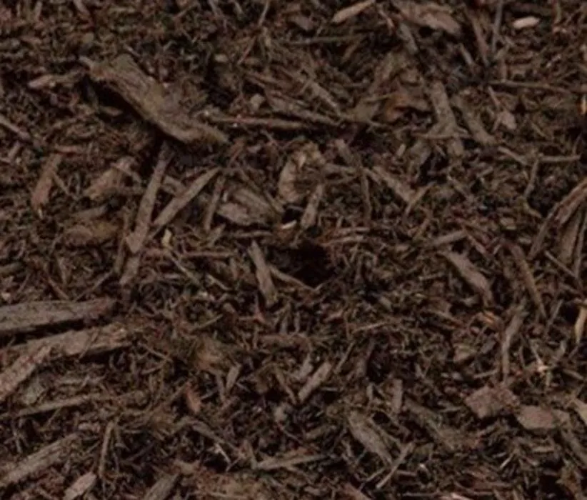 Expert landscaping services in Boiling Springs, SC - 4 Point Lawncare