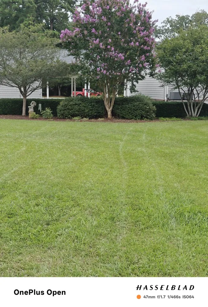 Affordable residential landscaping for residential properties across Gloucester Point, VA - 4 Points Lawn Care