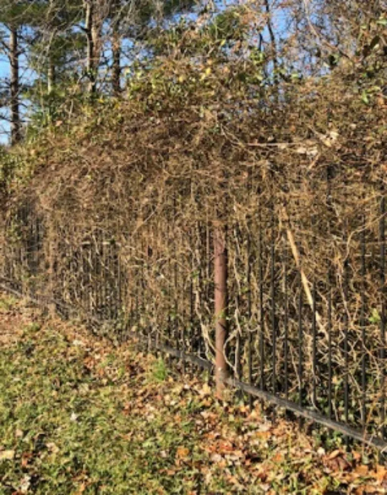 Custom landscaping services in Terlton, OK - 4 Roses Contracting