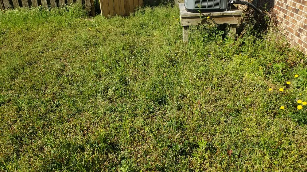 Professional lawn care service for beautiful yards across Shallotte, NC - 4-S Landscaping