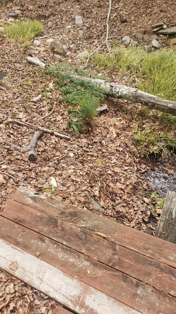 Professional yard cleanup service in Shallotte, NC - 4-S Landscaping