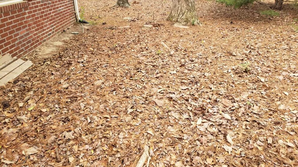 Professional outdoor landscaping near you in Shallotte, NC by 4-S Landscaping