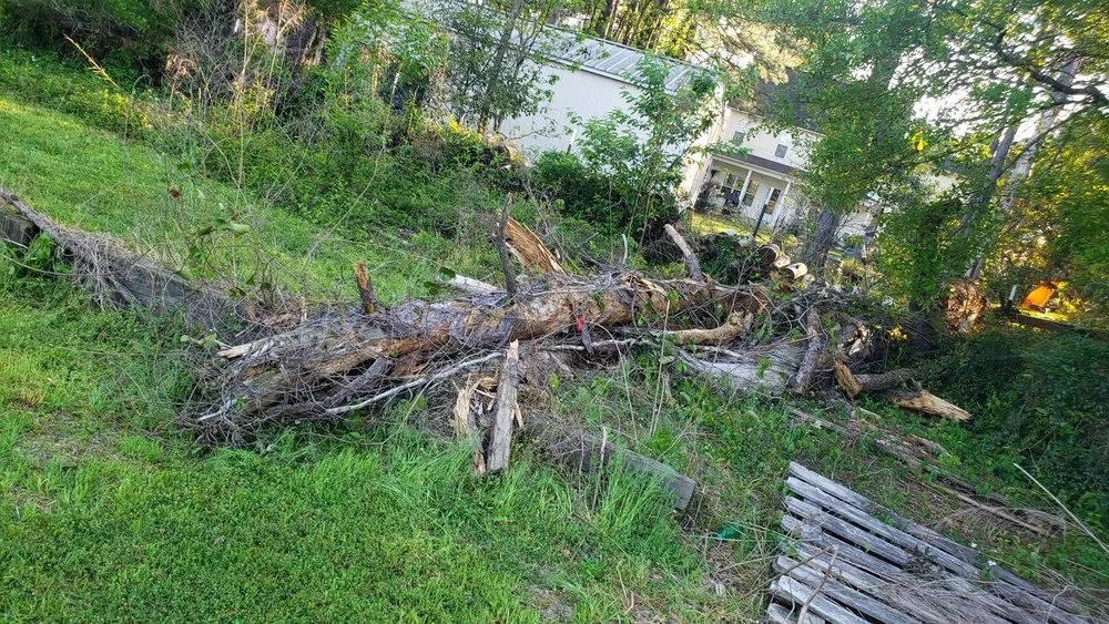 Professional yard cleanup service in Shallotte, NC - 4-S Landscaping