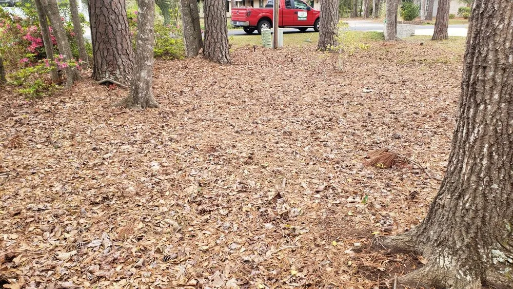 Expert landscaping services in Shallotte, NC by 4-S Landscaping