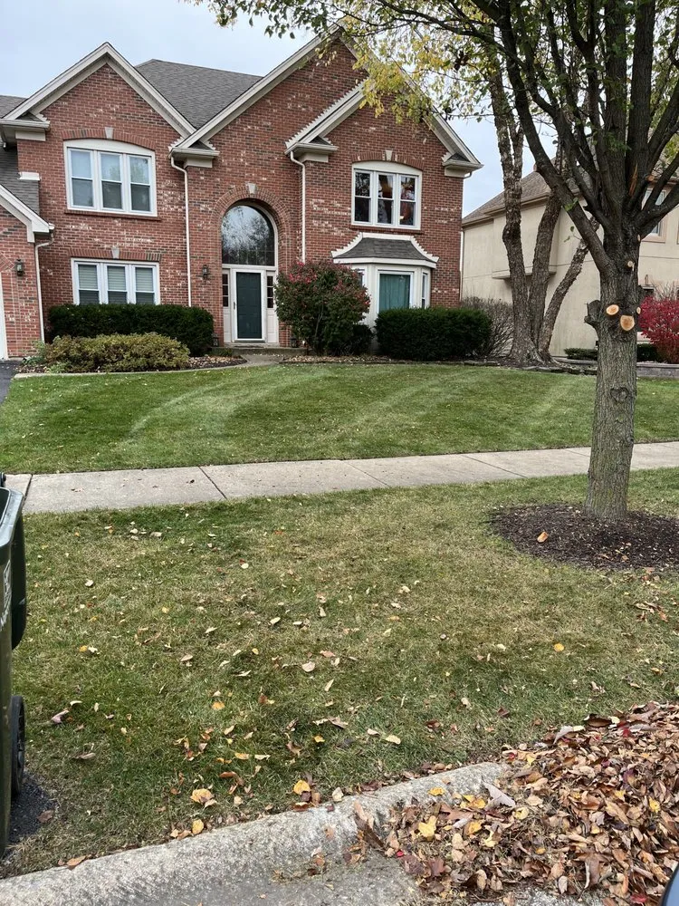 Trusted lawn mowing service experts serving Oswgo, IL - 4 Season Home Services