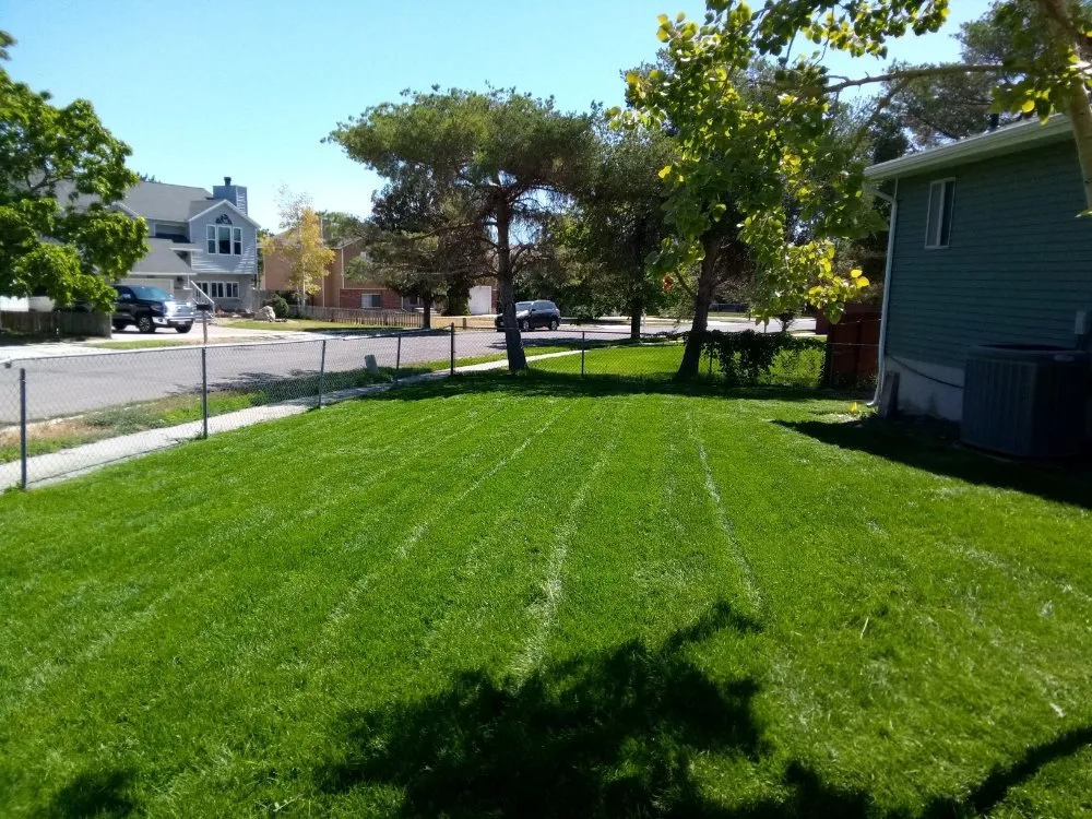 Professional yard cleanup service for beautiful yards across West Jordan, UT - 4 Season Landscaping & Snow Removal