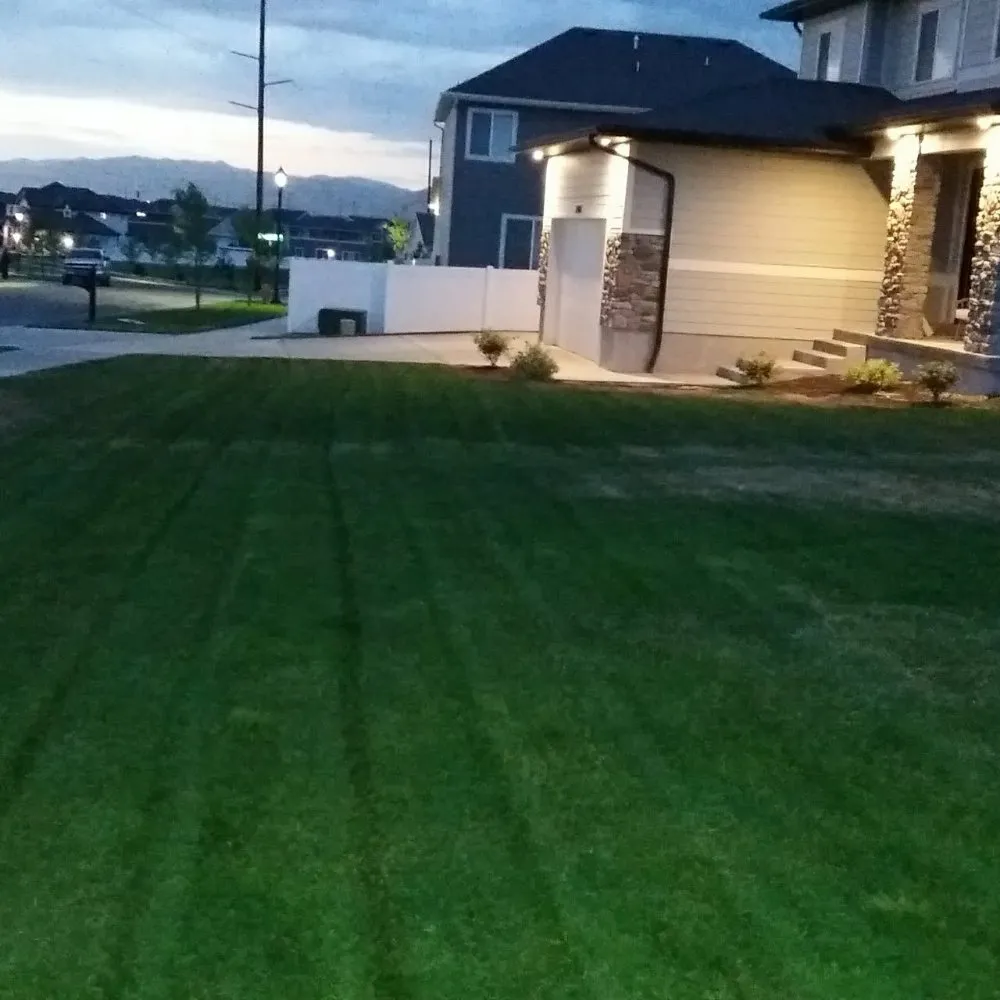 Local yard cleanup service in West Jordan, UT by 4 Season Landscaping & Snow Removal
