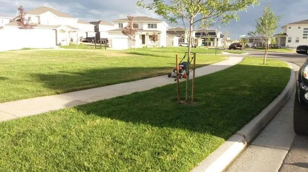 4 Season Landscaping & Snow Removal Logo