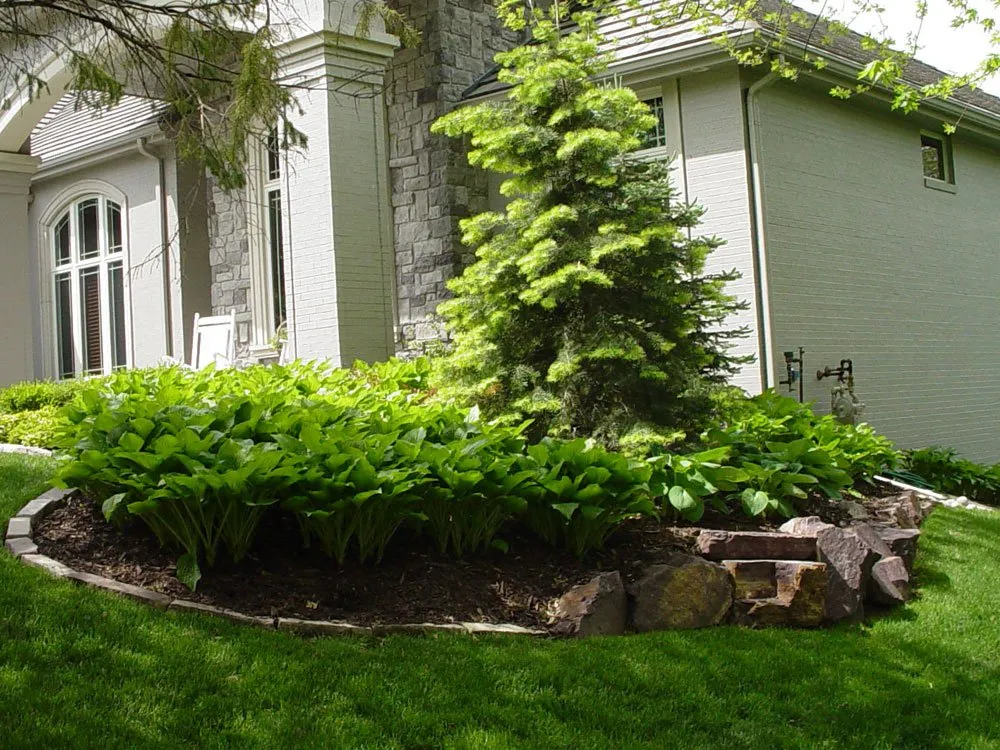 Top-rated lawn mowing service in Sayre, PA - 4 Season Landscaping