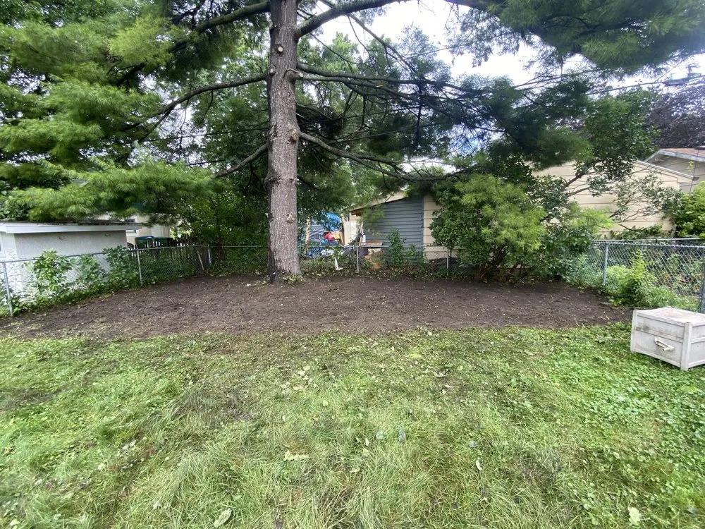 Trusted yard maintenance experts serving Minnetonka, MN - 4 Season Services