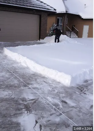 Professional yard cleanup service in Arden Hills, MN by 4 Seasons Care