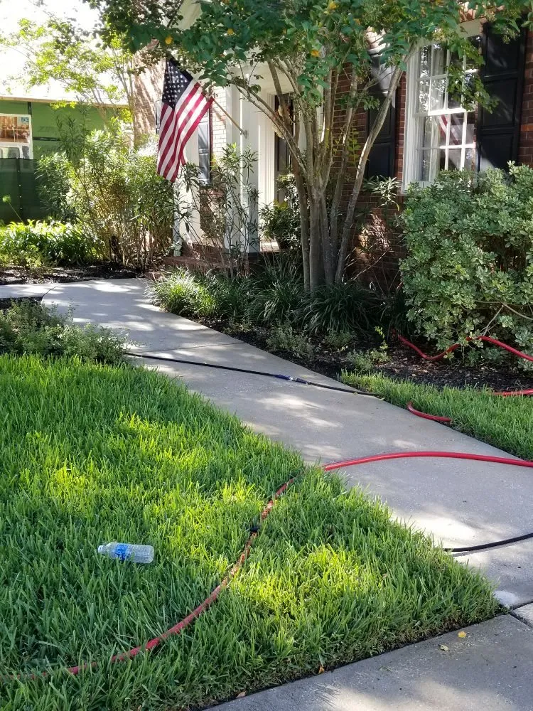 Professional lawn care service near you across Jacksonville, FL - 4 Seasons Complete Home Care