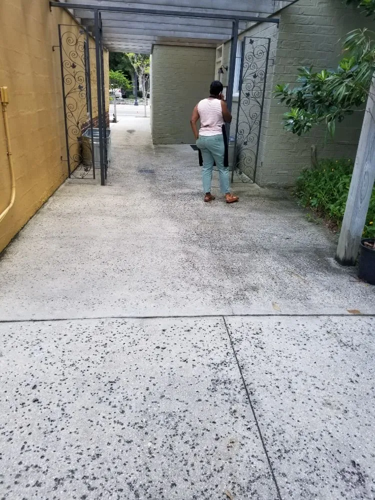 Top-rated outdoor landscaping in Jacksonville, FL by 4 Seasons Complete Home Care