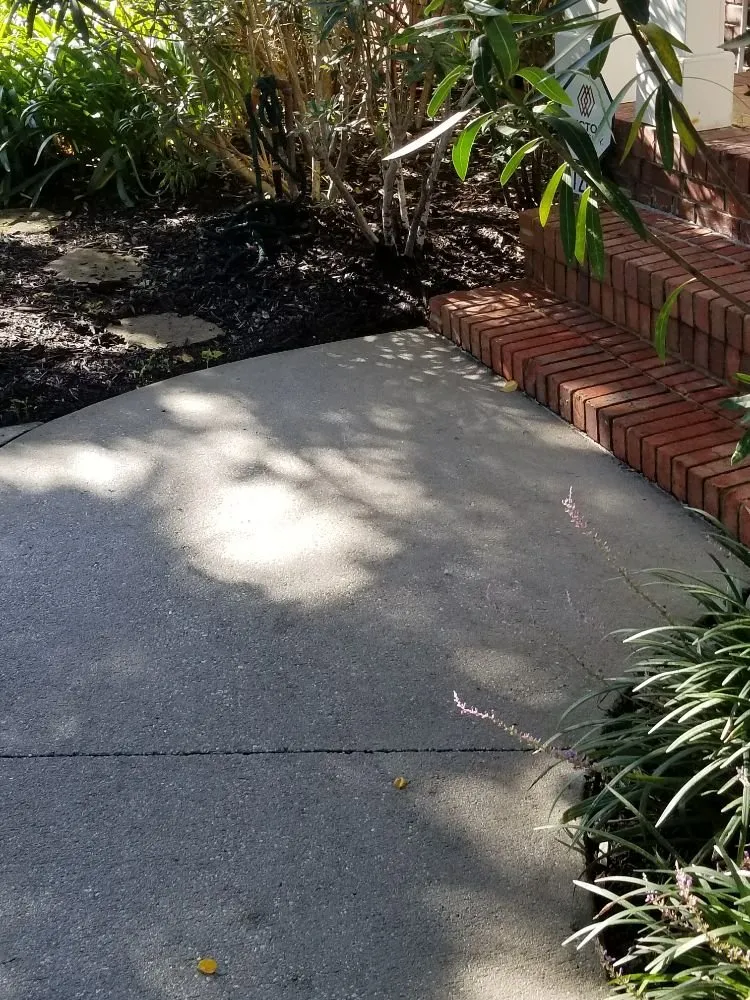 Top-rated landscape design experts serving Jacksonville, FL - 4 Seasons Complete Home Care