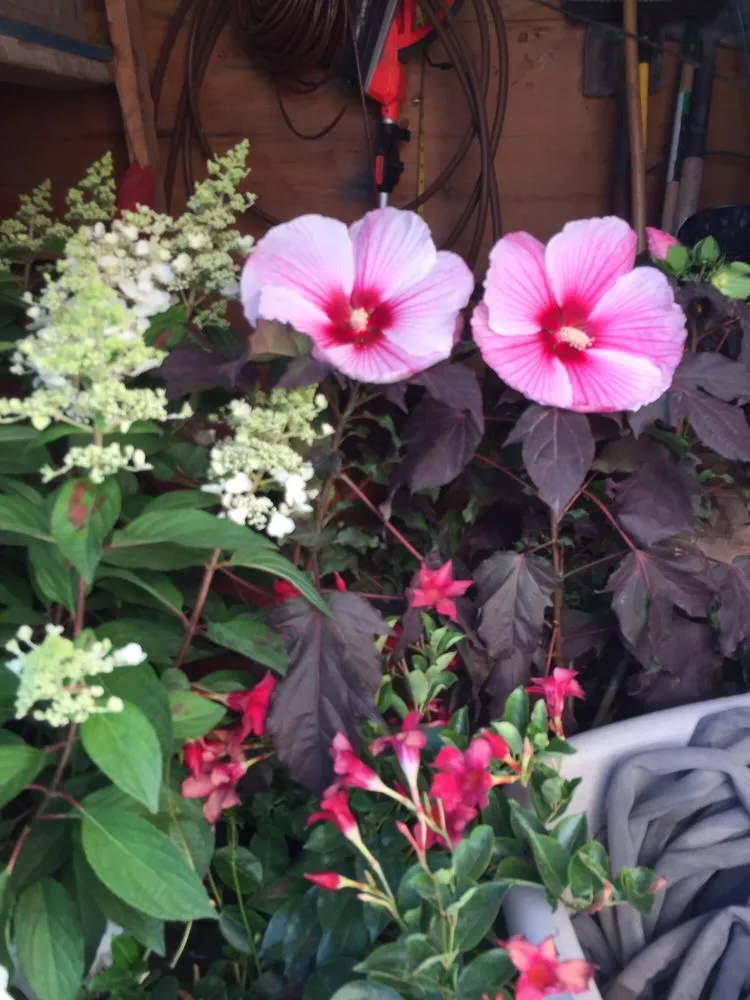 Top-rated lawn care service in Idaho Falls, ID - 4 Seasons Garden Design