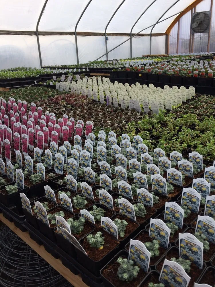 Professional outdoor landscaping in Idaho Falls, ID - 4 Seasons Garden Design