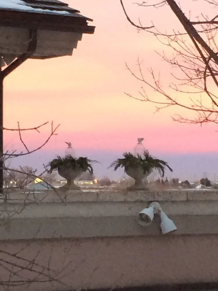 Professional yard maintenance in Idaho Falls, ID by 4 Seasons Garden Design