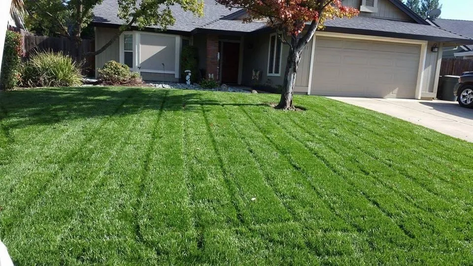 Professional lawn care service experts serving Sacramento, CA - 4 Seasons Gardening