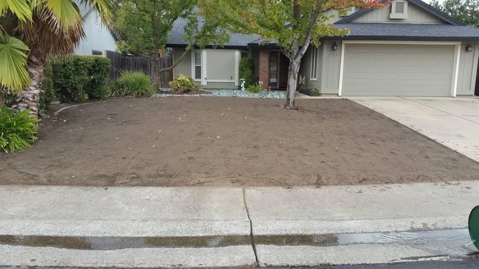 Reliable landscaping services for year-round maintenance across Sacramento, CA - 4 Seasons Gardening