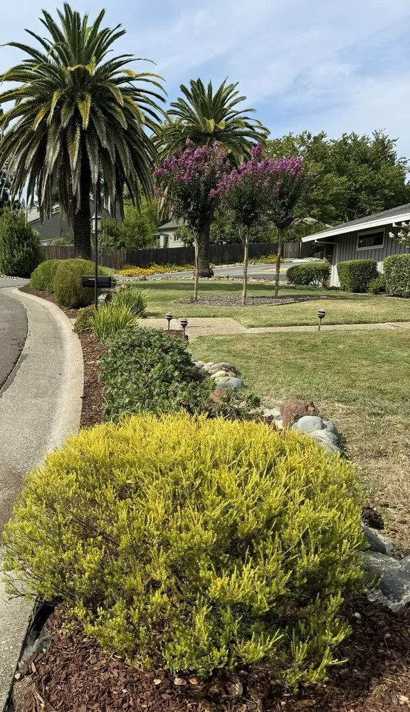 Trusted yard cleanup service with custom design across Sacramento, CA - 4 Seasons Gardening