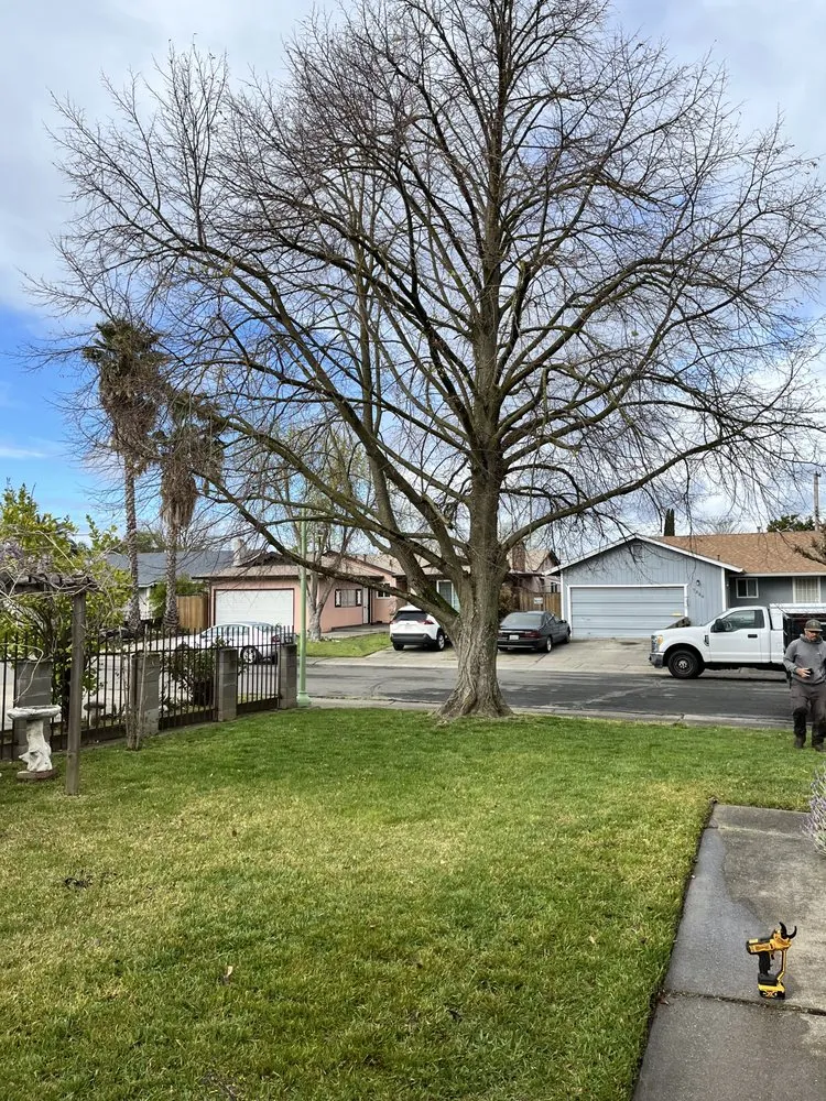 Trusted landscape design in Sacramento, CA by 4 Seasons Gardening